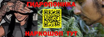 стаф Усть-Илимск