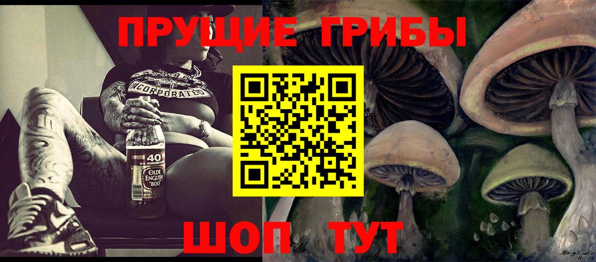 Галлюциногенные грибы Psilocybe  Вход с VPN  Мичуринск 