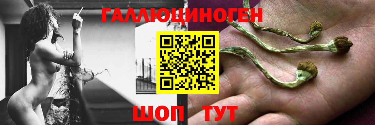 Псилоцибиновые грибы Magic Shrooms Мичуринск