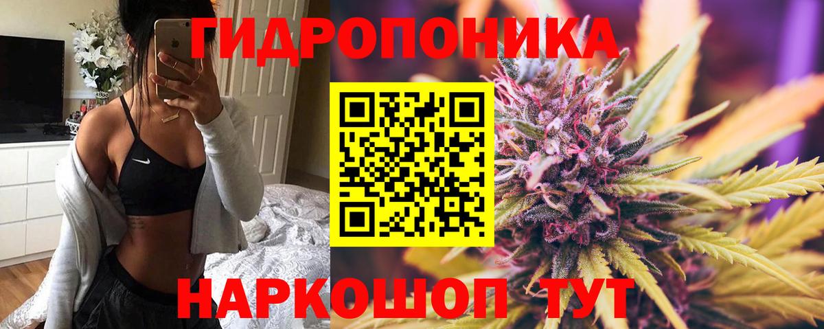 Конопля Amnesia  Канабис планчик  Конопля White Widow  Мичуринск  Вход с VPN  Канабис SATIVA & INDICA 