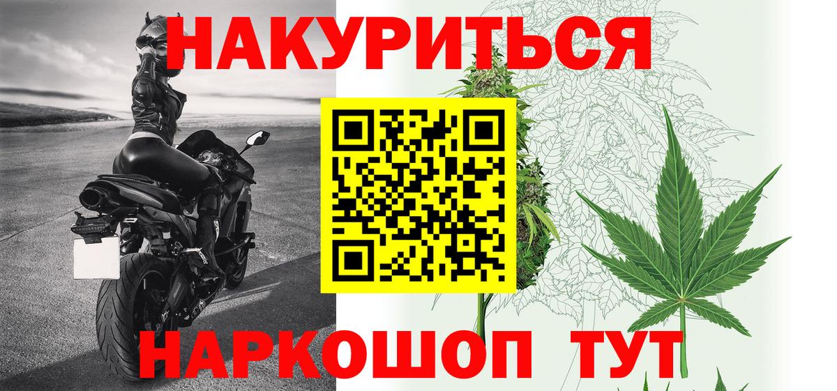 Каннабис MAZAR Мичуринск